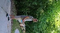 Fotos