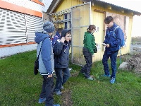 Fotos