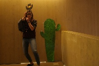 Fotos