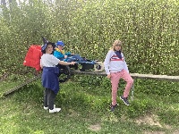 31
