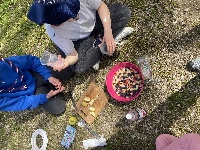 33