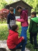 37