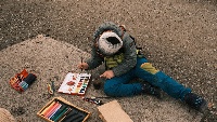 6